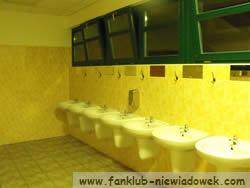 relacja_karlovice_kotek_9