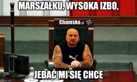0_1_69017_Posel_liroy_przez_gregus.jpg