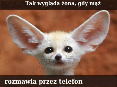 Mąż rozmawia prez telefon.jpg