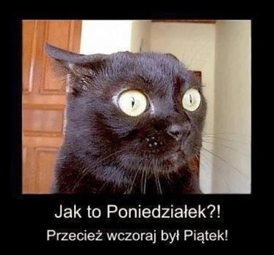 .....................................jpg