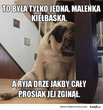 kiełbaska.jpg