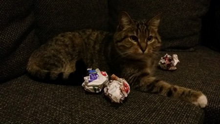 20160204_194938.jpg