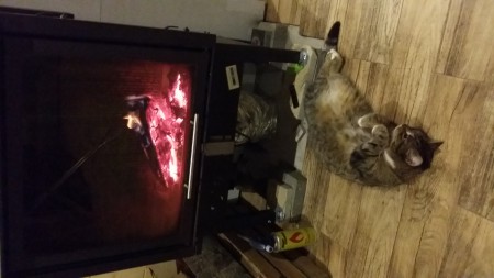 20160221_203543.jpg