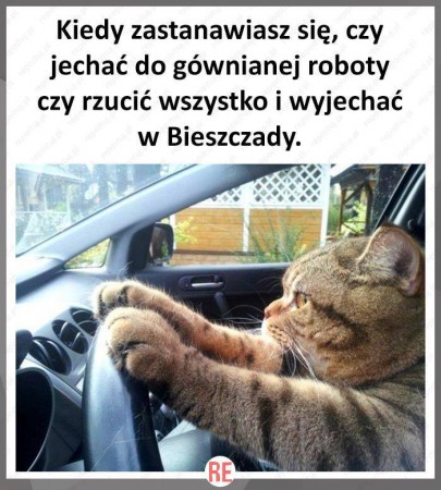 Bieszczady.jpg