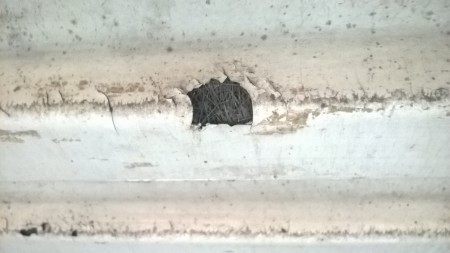 WP_20160402_028.jpg