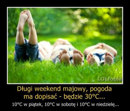post-14396-0-17737000-1461860533.jpg