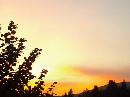 20160929_182612.jpg