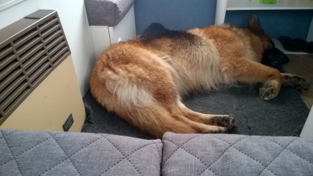 WP_20161001_001.jpg