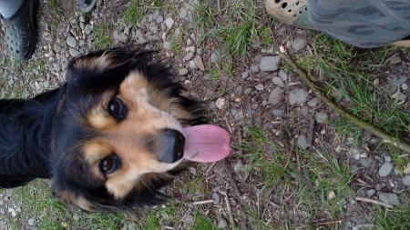 20170509_190146.jpg