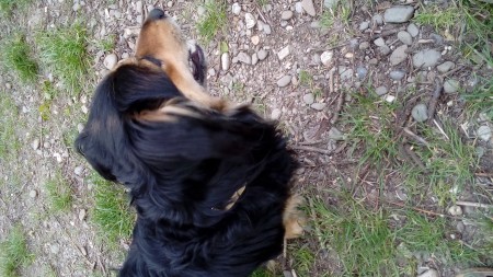 20170509_190342.jpg