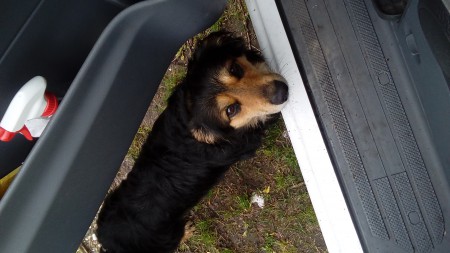 20170515_133956.jpg