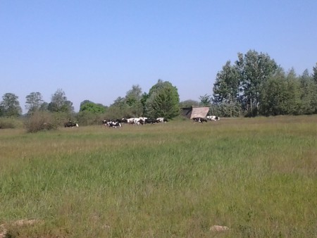 20170528_092547.jpg