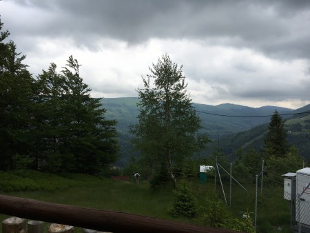 IMG_1175.JPG