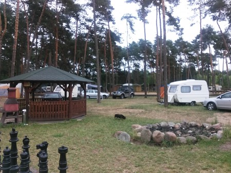 20170702_081735.jpg
