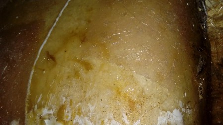 20170828_195358.jpg