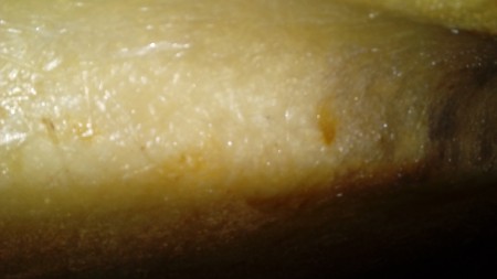 20170828_195435.jpg