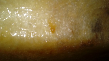 20170828_195443.jpg