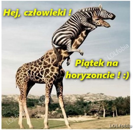 piateczek na horyzoncie.jpg