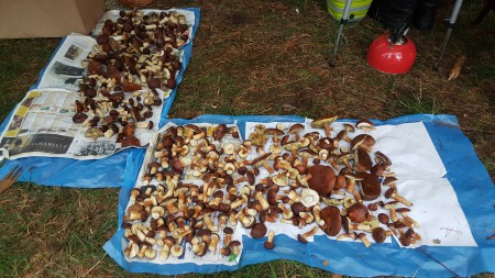 20170916_181640.jpg