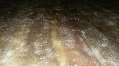 IMG_7726.JPG