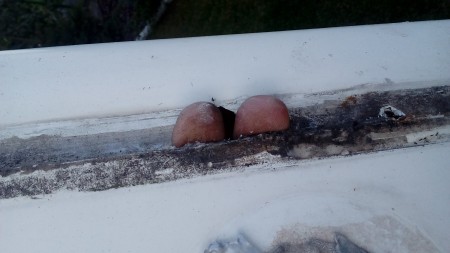 20170928_172222.jpg