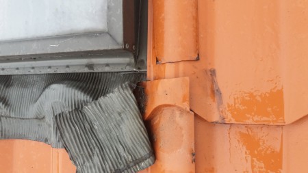 20170524_074200.jpg