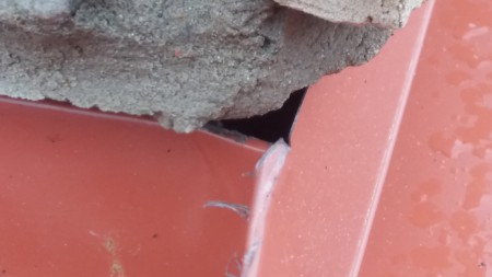 20170524_074241.jpg