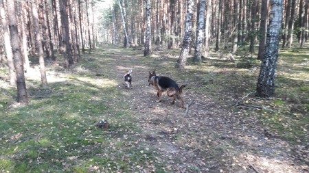 20180916_112004.jpg