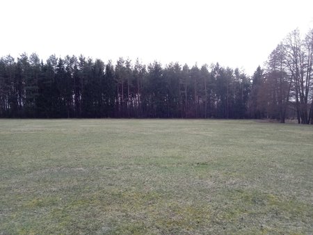 20190317_125301.jpg