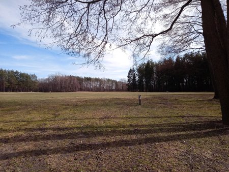 20190317_122848.jpg
