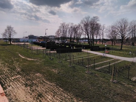 IMG_20190405_141008.jpg