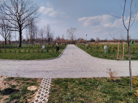 IMG_20190405_134744.jpg