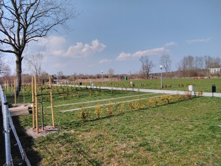 IMG_20190405_134717.jpg