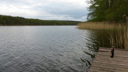 P1290169.JPG