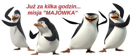 ping1.jpg