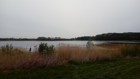 20190504_081155.jpg