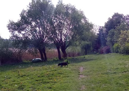 IMG_20190504_191853.jpg