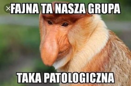 FB_IMG_1558797526710.jpg