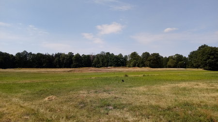 20190706_101936.jpg