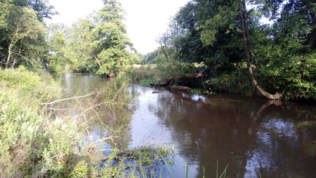 20190706_182807.jpg