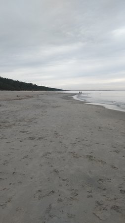 IMG_20190907_123935.jpg