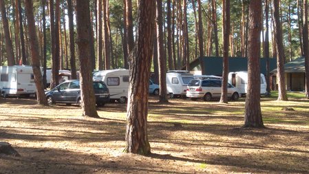 IMG_20190922_115118.jpg
