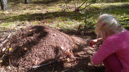 IMG_20190922_120105.jpg