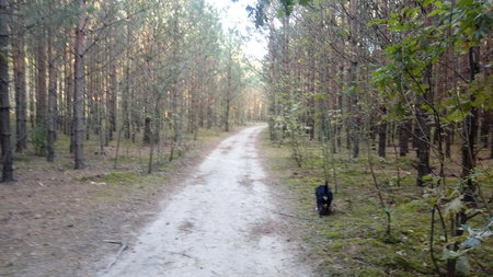 20190921_165727.jpg