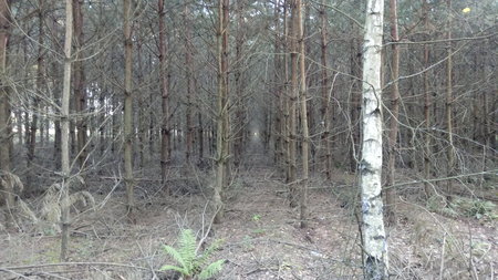 20190921_172850.jpg