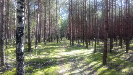 20190922_104949.jpg