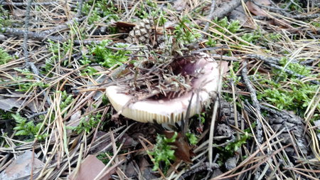 20190921_110151.jpg