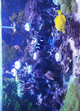 20200110_222831.jpg