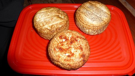 P1310855.JPG (45.97 KiB) Przejrzano 14579 razy P1310855.JPG