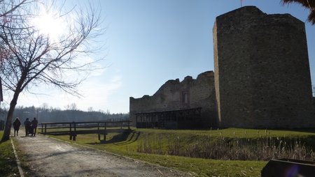 P1310636.JPG